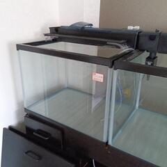 熱帯魚 用水槽