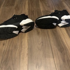 Reebok Instapump 27cm の画像