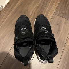 Reebok Instapump 27cm の画像