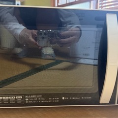 電子レンジ