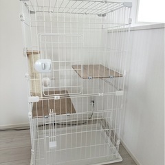 にゃんこのゲージ
