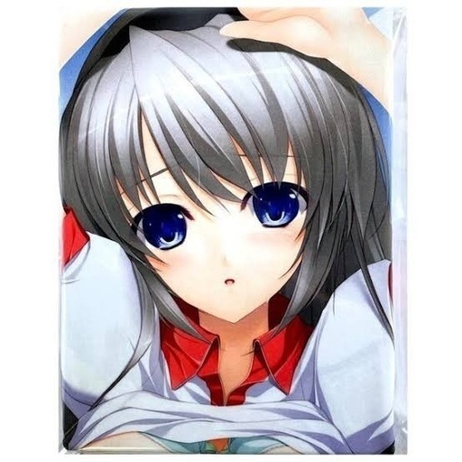 CLANNAD 抱き枕カバー 坂上智代 [中乃空][H・O・P]