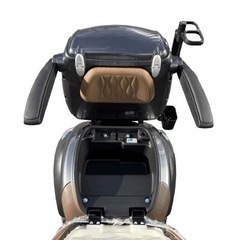 4輪特定小型原動機付自転車コアライトD4(新車)の画像