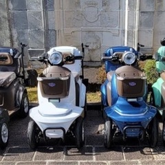 4輪特定小型原動機付自転車コアライトD4(新車)の画像