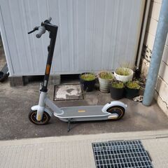 Segway-Ninebot（セグウェイ-ナインボット） Kickscooter  Max G30の画像