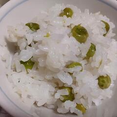 野菜と野菜の苗色々  ワンコインから