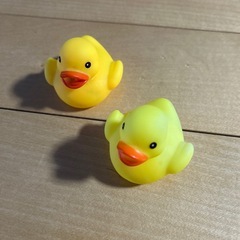 アヒル