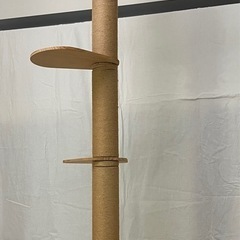 突っ張り型木製キャットタワーとスケルトンベッド