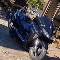 フォルツァ