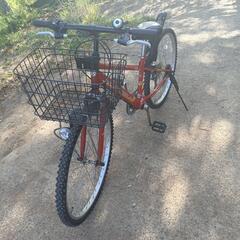 マウンテンバイクの画像