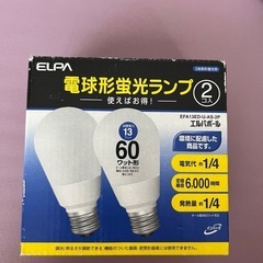ELPA 電球形蛍光ランプ　1個　未使用品の画像