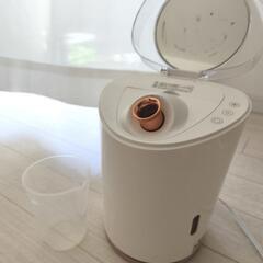ビューティースチーマー　PPIT-FSM-PK