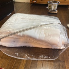 子ども敷布団2枚組　小さめ敷布団