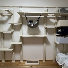 キャットタワー　キャットウォーク　DIY