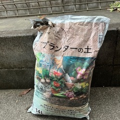 お花と野菜の土