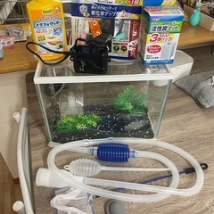 水槽セット