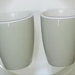 お皿&カップセットの画像