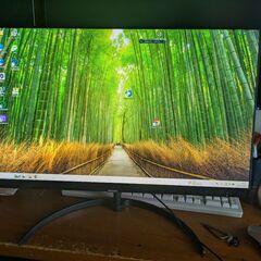 フィリップス24インチモニター