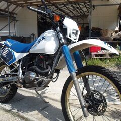 希少実働、スズキSX200R　交換も♡