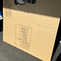 ダンボール10枚セット