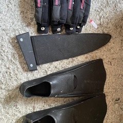 セイルボード session サーフィン 帆 の画像