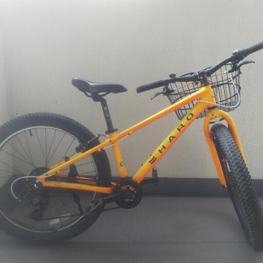 GIANT マウンテンバイク GIANTマウンテンバイク24インチ GIANTマウンテンバイク24インチ STP 24