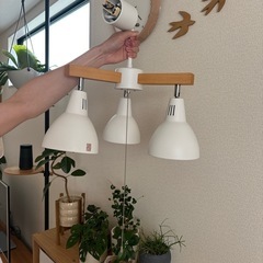 照明　ライト