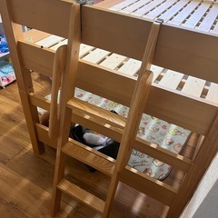 至急　ロフトベット 