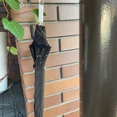 　③雨晴兼用　日傘の画像