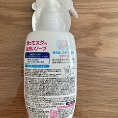 帰ってスグの足洗いソープ
の画像