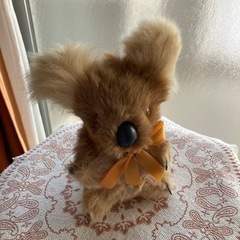 コアラ