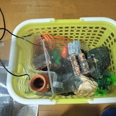 海水魚飼育セット 60cmの画像