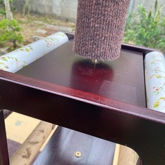 キャットタワーの画像