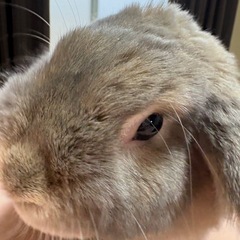 あなたの居場所はありますか？