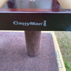 キャットタワーの画像