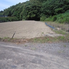 自然豊かな環境の売土地です♪