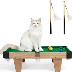 猫の爪とぎ 
: ビリヤードの画像