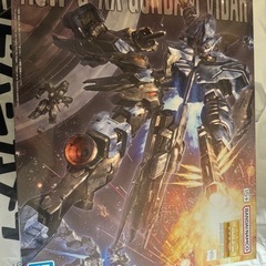 MGガンダムヴィダール