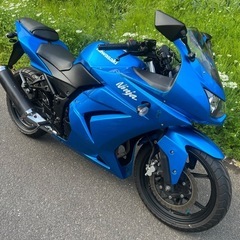 KAWASAKI NINJA250R Blue 実動