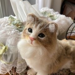羊毛フェルト（猫）の画像