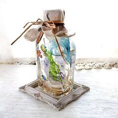 ★海モチーフのハーバリウム　オリジナル熱帯魚の画像