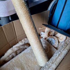 キャットタワーの画像