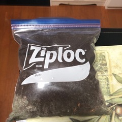 コーヒーグラウンズ