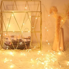 5mのLedライト(レモコンなし)の画像