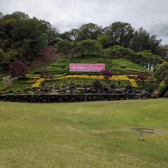 🏌️🏌️‍♂️ゴル友募集🏌️‍♀️🏌️‍♂️ - スポーツ