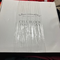 セルブロックボディスキャン