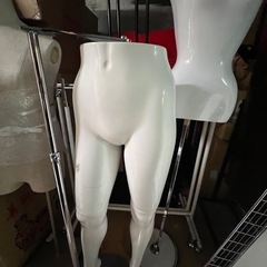高級
トルソーの画像