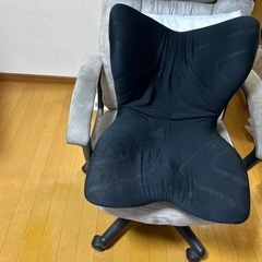姿勢矯正、スタイルプライアルの画像