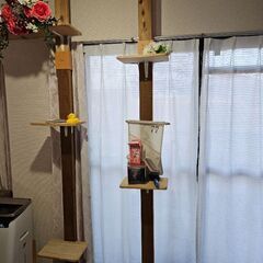 キャットタワー（手作り）