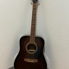 アコースティックギター　ギターソフトケース